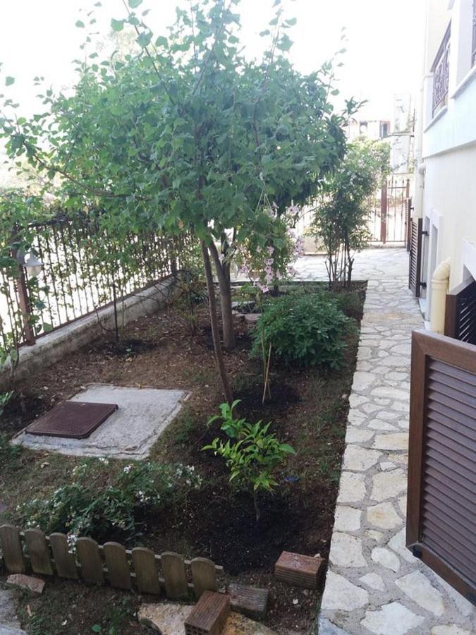 Villa Karolina Tsogkas Sívota المظهر الخارجي الصورة